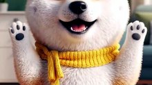 Seated Shiba Wave & Clap Dance! 🐾🎶