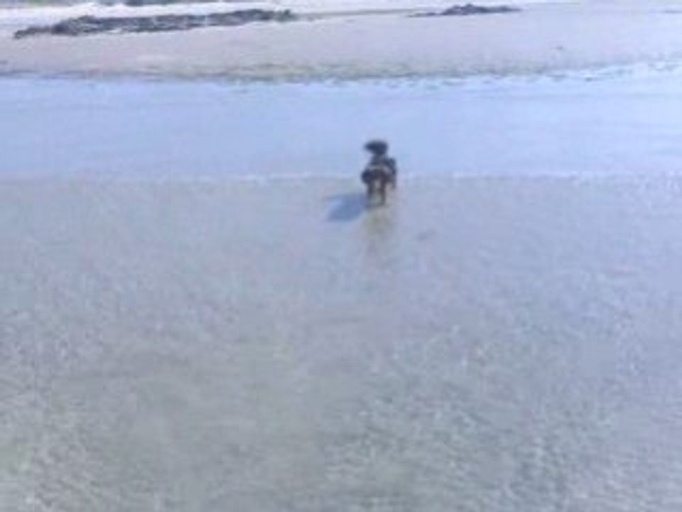 GTI à la plage