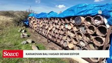 Bitlis'te karakovan balı hasadı sürüyor