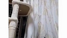 One of the fastest reflexes btw