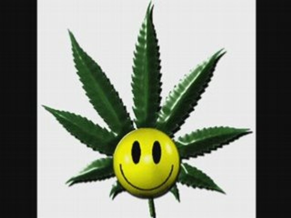 Dj fest sunblock megamix