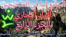 الجامع لما في الصحيحين (240)