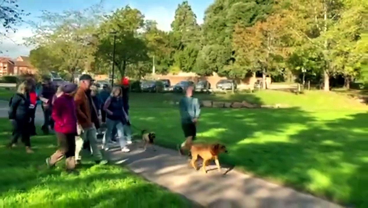 Great Oaks Walk, Newent - video Dailymotion