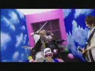 Ancafe SUMMERDIVE FULL PV