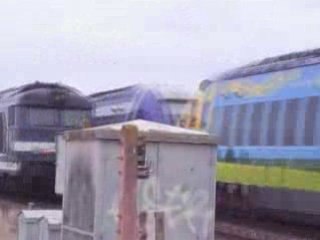 CROISEMENT BB 67500 ET AGC BIBI