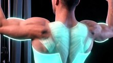 Build a wider, stronger back with the lat pulldown! 💪
