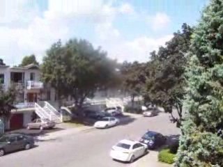 Le chant des cigales à Montréal