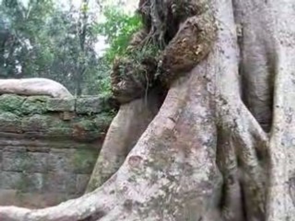 Ta phrom