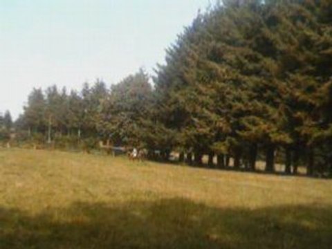 Ma ponette chez moi :)