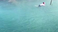 🔥 Must-See Reel! Unbelievable Moments 🎬