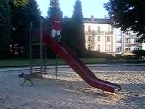 JO SKATE TOBOGGAN #2