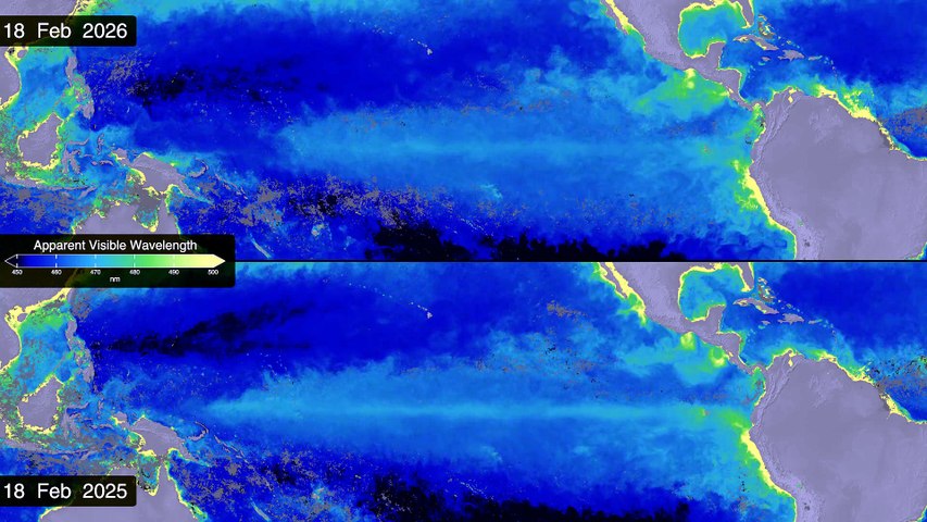 elnino_2026_avw_cb_1010_2160p60