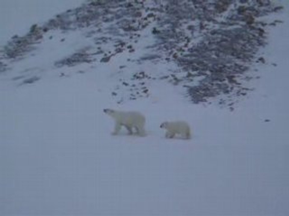 Ours