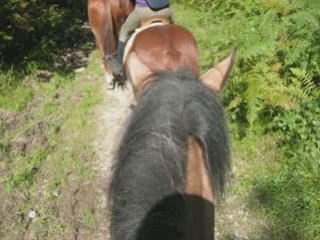 Stage Rando 2008 2 officiel