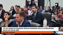 Ley de Lemas en Posadas: buscan avanzar con su eliminación antes de fin de año