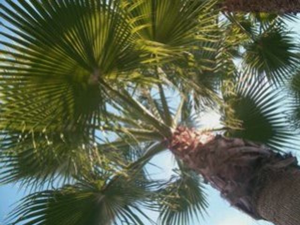 Espagne 08