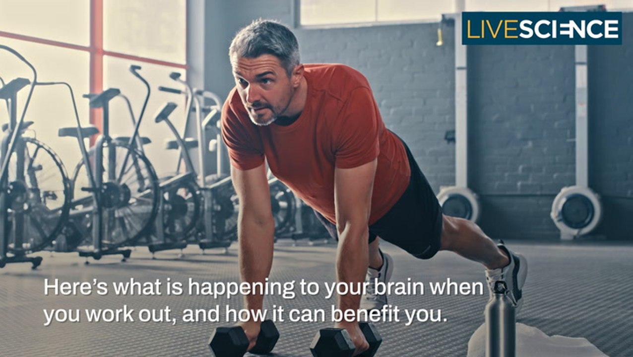 What Does Exercise Do To Your Brain? - video Dailymotion