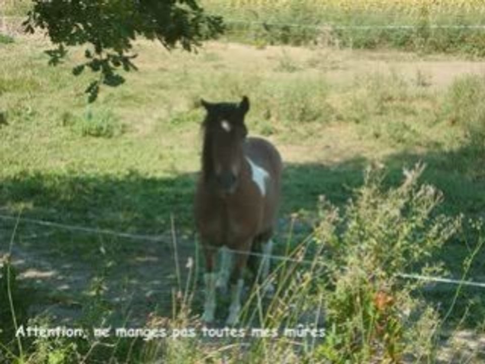 Petite ballade