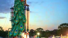 giant-peacock-firework