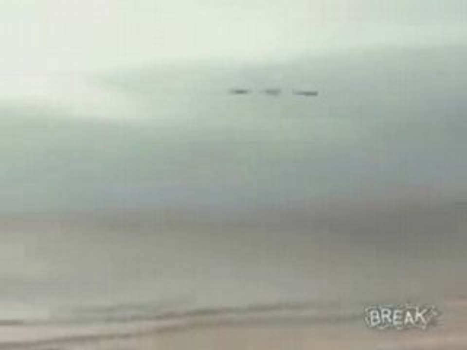 Seagull Catching At The Beach