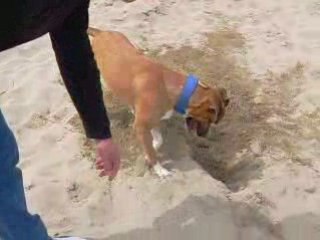 23.05.2007 tess à la plage