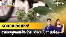 หอมจนเวียนหัว! ฮานอยลุยตัดแต่ง-ย้าย “ต้นตีนเป็ด” นับร้อย|ทันโลก EXPRESS | 23 ต.ค. 69