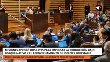 Misiones aprobó leyes por el bosque nativo y el aprovechamiento de especies forestales