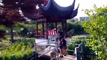 水月公園の花しょうぶ2026