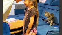 😹 This Cat Is Out of Control! 😂