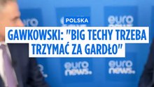 "Big techy trzeba trzymać za gardło". Gawkowski zapowiada nacisk na platformy cyfrowe