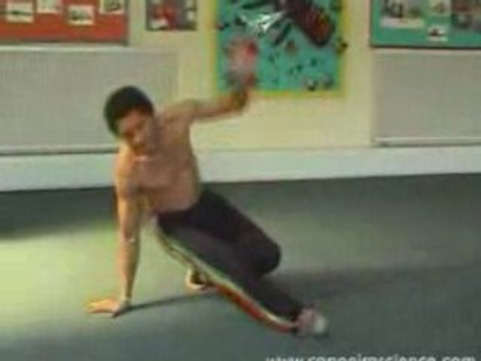 Capoeira Mestre