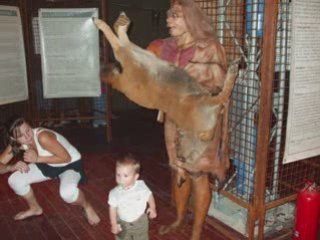 Une journee avec les dinosaures