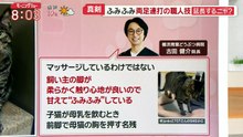 羽鳥慎一モーニングショー   動画　2026年10月23日 バラエティー動画 5mio