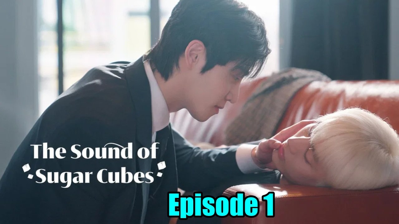 The Sound of Sugar Cubes 2026 Episode 1 (English Subtitles) - video ...