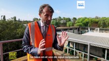 Olivos irrigados con aguas residuales tratadas, un proyecto piloto lucha así contra la sequía