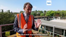Mit aufbereitetem Abwasser bewässerte Olivenbäume, ein Pilotprojekt zur Bekämpfung von Dürre