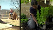 This Old House S48E03