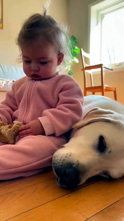 Cutest Nap Ever: Toddler and Puppy - video Dailymotion