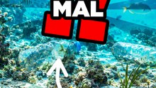 Qu'est-ce qu'on fait des bouteilles au fond de l'eau ?