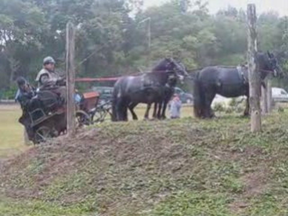 TREC attelé Fleury la Riviere