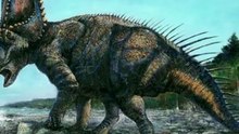 Dinosaur Fossil Cancer Discovery