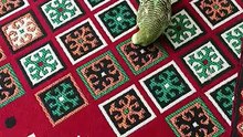 Budgies - Spring Cleaning