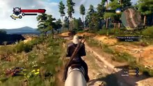 The Witcher 3 - Wild Hunt_balade suite
