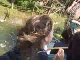 Montagnes Russes a Walibi