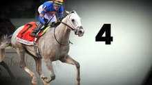 Gainesway: White Abarrio