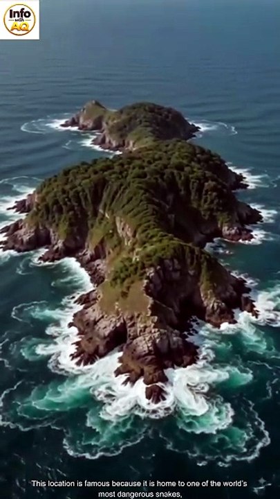 Snake Island Brazil | The World's Most Dangerous Island - video Dailymotion