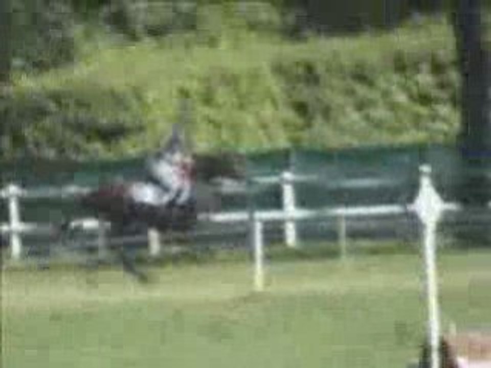 Cce jardy Quiwi 4ans