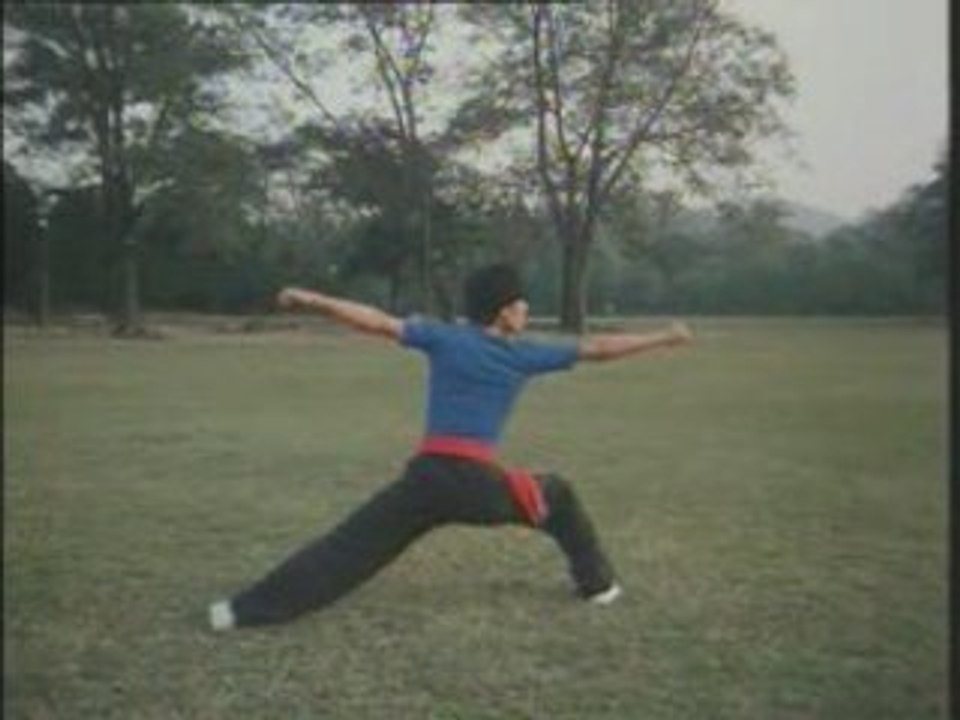 Wushu
