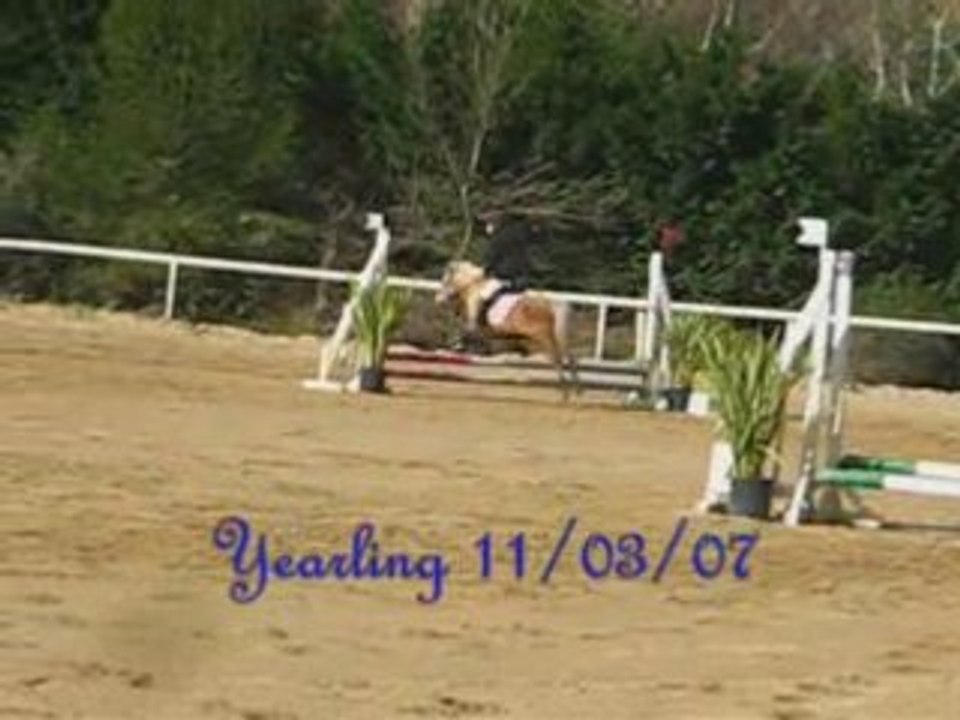 Cso2006/2008