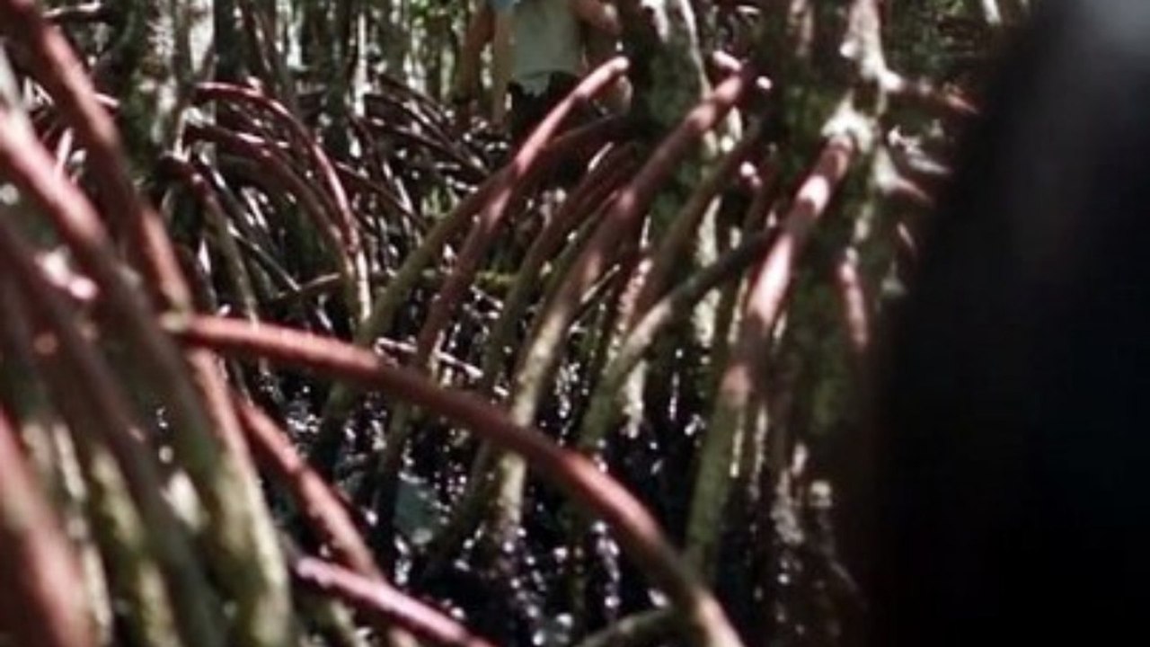 Desert Island Throne Four Goddesses Fall for Me - Full Film - video ...